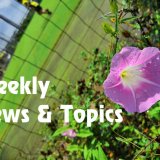 2019/08/19(月)-08/25(日) ジェフユナイテッド市原・千葉 Weekly News & Topics