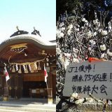 必勝祈願＠姉崎神社